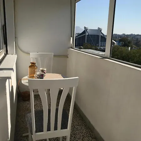 Sunflat - Novakovic *